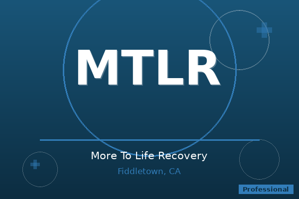 More To Life Recovery
