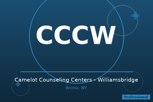 Camelot Counseling Centers - Williamsbridge